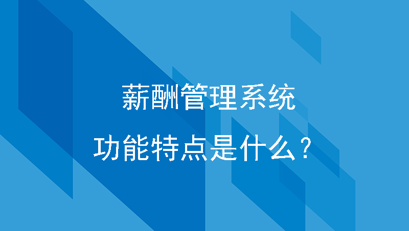 薪酬管理系统的功能特点是什么？