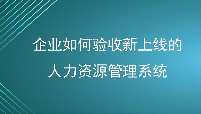 企业如何验收新上线的人力资源管理系统